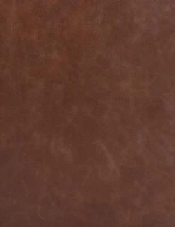 Schroeder Leather Accent Chair -Lulu Andgeorgia Shop 105873 005 DET 5