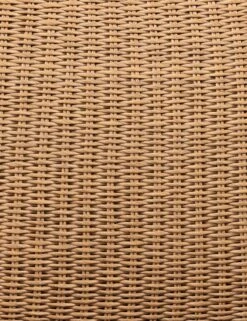 Manila Indoor / Outdoor Accent Chair -Lulu Andgeorgia Shop 106918 004 DET 2