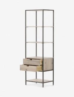 Rosamonde Bookcase -Lulu Andgeorgia Shop 107316 006 OPN 1