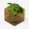 Larayne Hexagon Wall Planter -Lulu Andgeorgia Shop 108420 001 grp 1