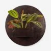 Larayne Circle Wall Planter -Lulu Andgeorgia Shop 108857 001 grp 1