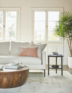 Charlotte Velvet Pillow -Lulu Andgeorgia Shop 20200109 zehra 2.0 catalog0325 site crop ad9230c4 9b1c 497a 9b85 bcb2baa4ff86