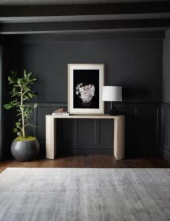 Nambi: Pose II, WOVEN Series Photography Print By Ashley Johnson 13 Nambi: Pose II, WOVEN Series Photography Print By Ashley Johnson -Lulu Andgeorgia Shop 20210526 ConsoleArtVignette 7204 NOART