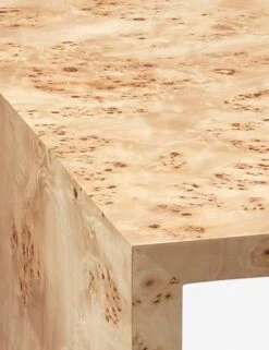 Raisa Burl Wood Nesting Side Tables (Set Of 2) -Lulu Andgeorgia Shop 20BEDF NENA 1