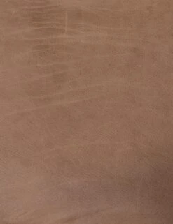 Sela Leather Accent Chair -Lulu Andgeorgia Shop 222702 012 det 2