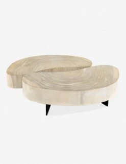 Finley Coffee Table Set -Lulu Andgeorgia Shop 223615 001 bck 1