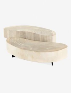 Finley Coffee Table Set -Lulu Andgeorgia Shop 223615 001 prm 1