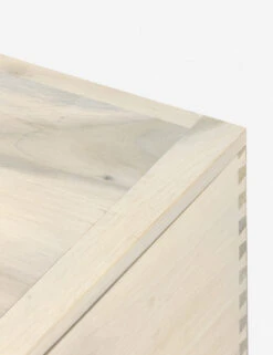 Rosamonde Storage Bench -Lulu Andgeorgia Shop 224491 003 DET 7