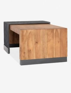 Luciane Coffee Table -Lulu Andgeorgia Shop 224826 001 det 1
