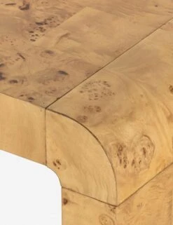 Martine Coffee Table -Lulu Andgeorgia Shop 224830 002 DET 4