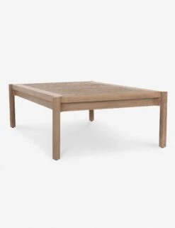 Tonia Indoor / Outdoor Coffee Table -Lulu Andgeorgia Shop 225077 001 DET 1