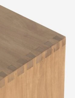 Maeve Tall Dresser -Lulu Andgeorgia Shop 226508 001 DET 7