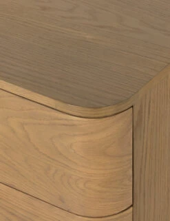 Cyrus Dresser -Lulu Andgeorgia Shop 226604 002 DET 3