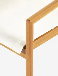 Charise Indoor / Outdoor Accent Chair -Lulu Andgeorgia Shop 226871 001 DET 1