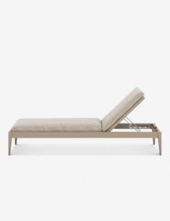 Cadenza Indoor / Outdoor Chaise -Lulu Andgeorgia Shop 226912 006 SID 1