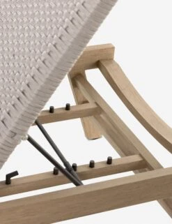 Delmar Indoor / Outdoor Chaise -Lulu Andgeorgia Shop 226919 001 DET 8