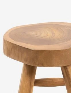 Oberon Indoor / Outdoor Stool -Lulu Andgeorgia Shop 227704 001 DET 1 SITECROP