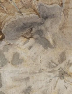 Casella Round Side Table -Lulu Andgeorgia Shop 227722 002 DET 2