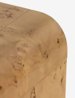 Martine Side Table -Lulu Andgeorgia Shop 228910 002 DET 5