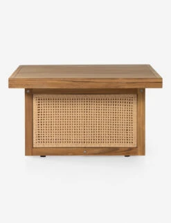 Anson Indoor / Outdoor Coffee Table -Lulu Andgeorgia Shop 229412 001 SID 1