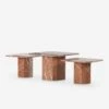 Linari Marble Nesting Coffee Table (Set Of 3) -Lulu Andgeorgia Shop 229607 001 PRM 1