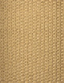 Wilkins Indoor / Outdoor Accent Chair -Lulu Andgeorgia Shop 231931 001 DET 2