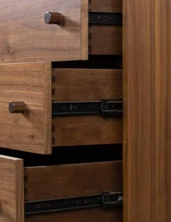 Cameron Dresser -Lulu Andgeorgia Shop 234477 001 DET 6