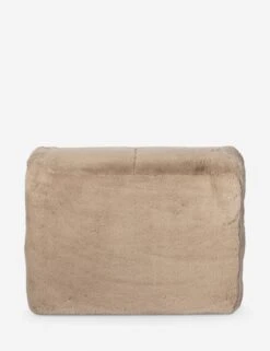 Casha Accent Chair -Lulu Andgeorgia Shop 235047 002 BCK 1