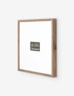 Monarch Of The Plain Photography Print By Gold Rush Art Co -Lulu Andgeorgia Shop 235583 001 PRM 2