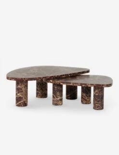 Mariano Nesting Coffee Table -Lulu Andgeorgia Shop 238223 001 PRM 1