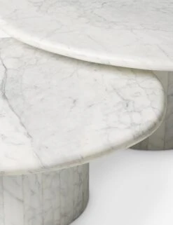 Bonastre Nesting Coffee Table (Set Of 2) -Lulu Andgeorgia Shop 246190 001 DET 1 92387d43 0ce2 483b aa9d e55da0736d61