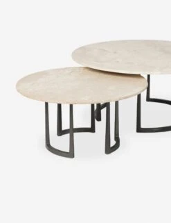 Sarnai Nesting Coffee Table (Set Of 2) -Lulu Andgeorgia Shop 246638 001 DET 3