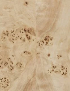 Mondaro Coffee Table -Lulu Andgeorgia Shop 246768 001 DET 2