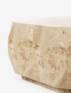 Mondaro Coffee Table -Lulu Andgeorgia Shop 246768 001 DET 6