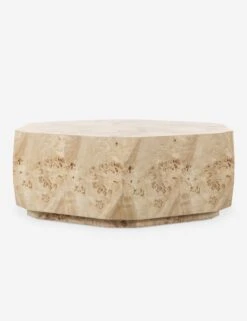 Mondaro Coffee Table -Lulu Andgeorgia Shop 246768 001 PRM 1