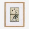 Summer Weeds II Wall Art By Shaina Page -Lulu Andgeorgia Shop 248729 003 PRM 1