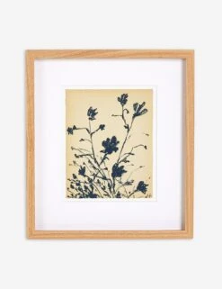 Summer Weed Wall Art By Shaina Page