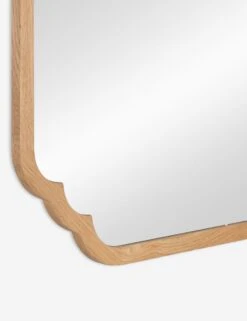 Dandridge Mirror -Lulu Andgeorgia Shop 41915 5