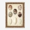 Speckled Egg I Wall Art By Helen Parker