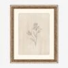 Elegant Botanical V Wall Art By Makai Howell -Lulu Andgeorgia Shop 52GCMH0370 GF LUL