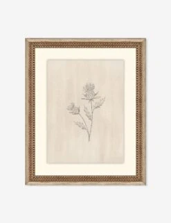 Elegant Botanical V Wall Art By Makai Howell