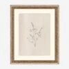 Elegant Botanical VI Wall Art By Makai Howell -Lulu Andgeorgia Shop 52GCMH0371 GF LUL