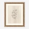 Elegant Botanical VII Wall Art By Makai Howell -Lulu Andgeorgia Shop 52GCMH0372 GF LUL
