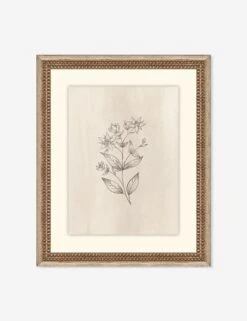 Elegant Botanical VII Wall Art By Makai Howell