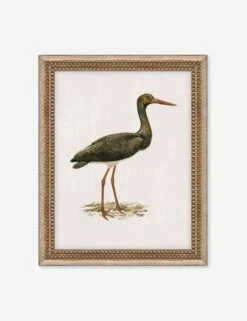 Heron Friend I Wall Art By Old World