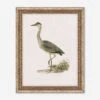 Heron Friend II Wall Art By Old World -Lulu Andgeorgia Shop 52OW0002 FMA LN LUL