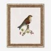 Small Birds I Wall Art By Old World