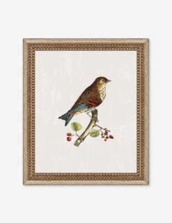 Small Birds I Wall Art By Old World