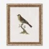 Small Birds II Wall Art By Old World -Lulu Andgeorgia Shop 52OW0004 FMA LN LUL 4580868d 48e1 49f6 b0ad 4d76779f3a7f