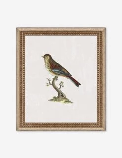 Small Birds II Wall Art By Old World